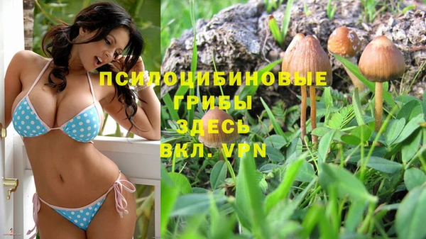 ALPHA-PVP Волосово